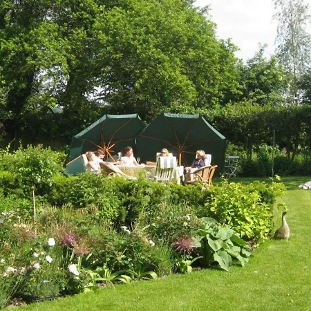 Tatil Evi Detached Holiday In The Centre Of The Forest In Schoorl